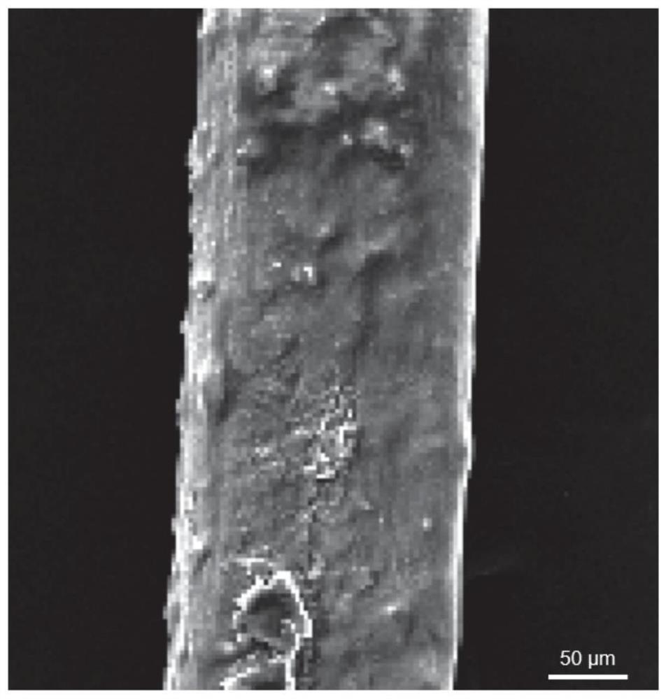 Visual fluorescent fiber as well as preparation method and application thereof