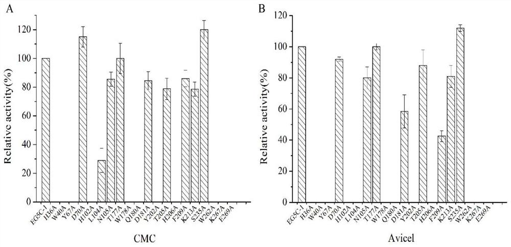 Continuous endo-cellulase mutant and application thereof