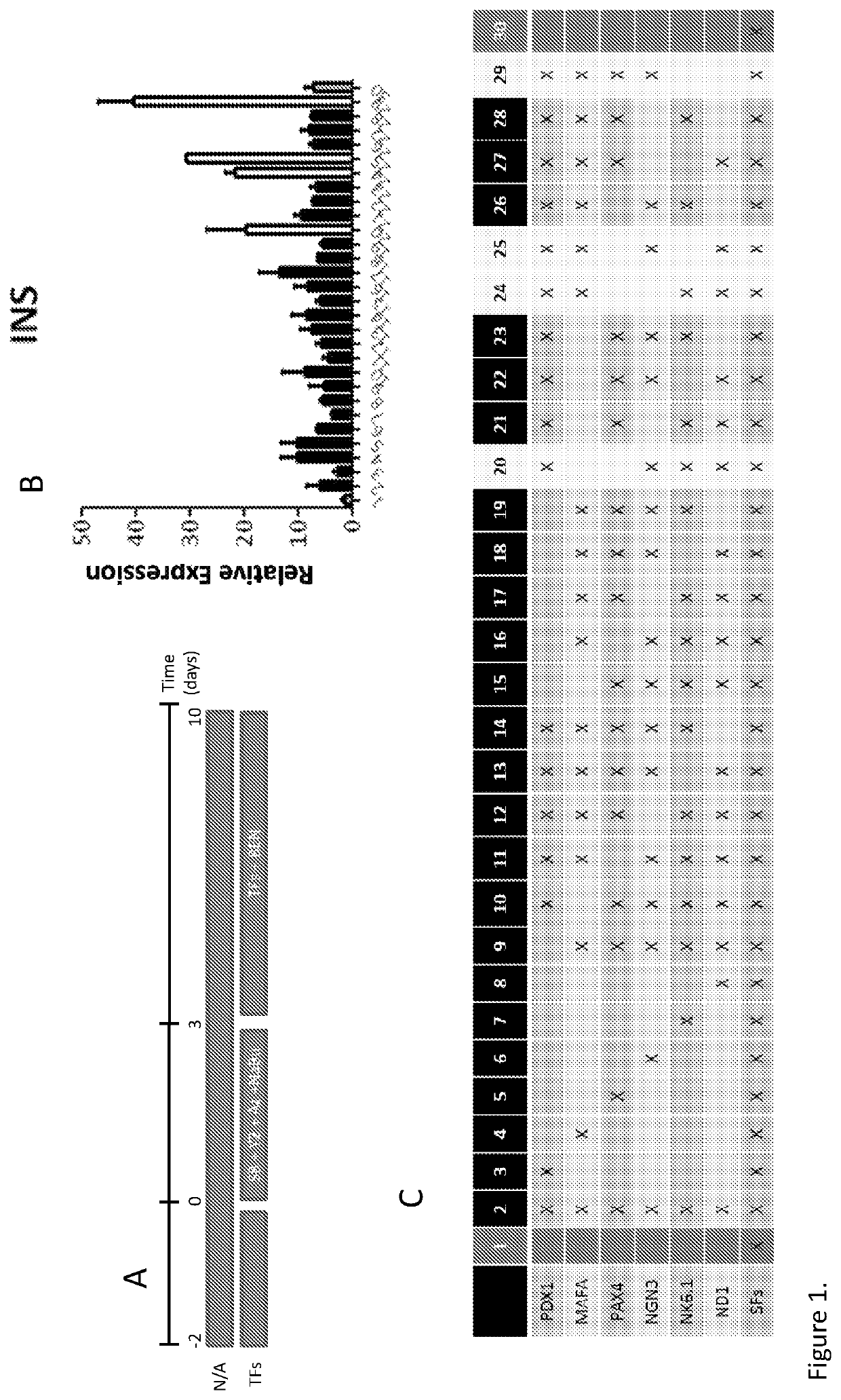 Methods of obtaining pancreatic endocrine cells