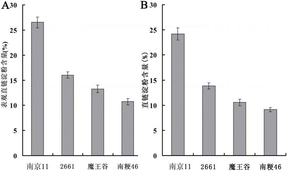 Method for identifying rice Wx-mw gene and application of rice Wx-mw gene in high-quality rice breeding