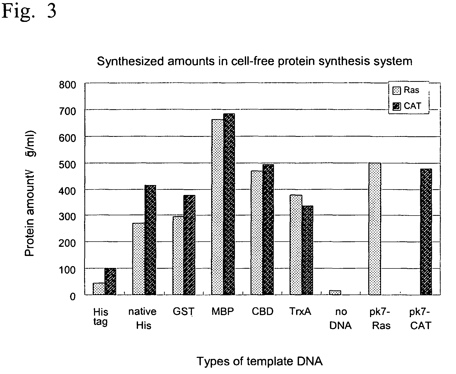 Process for producing template DNA and process for producing protein in cell-free protein synthesis system with the use of the same