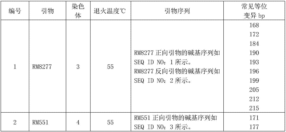 Method for establishing DNA molecular tags of Yunjing series rice varieties