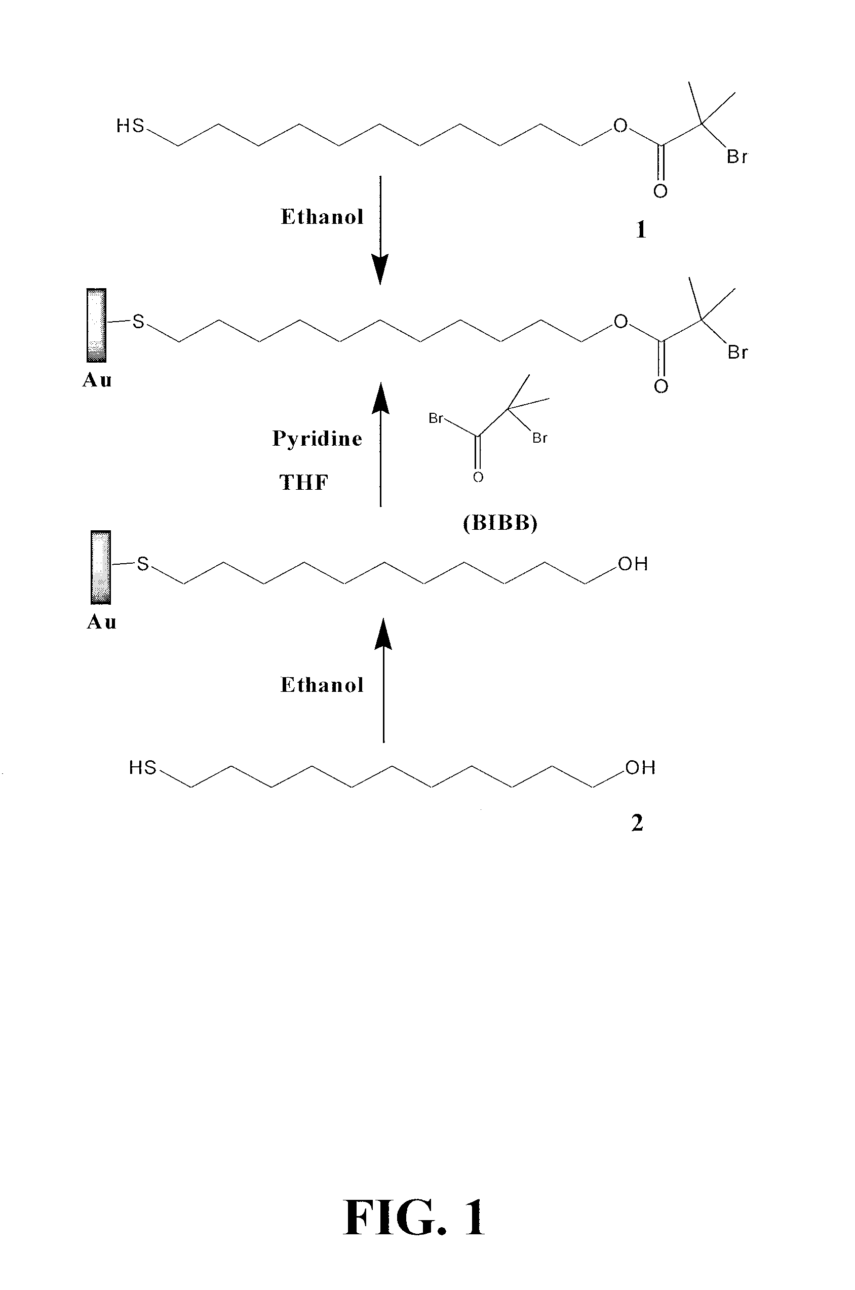 Super-low fouling sulfobetaine and carboxybetaine materials and related methods
