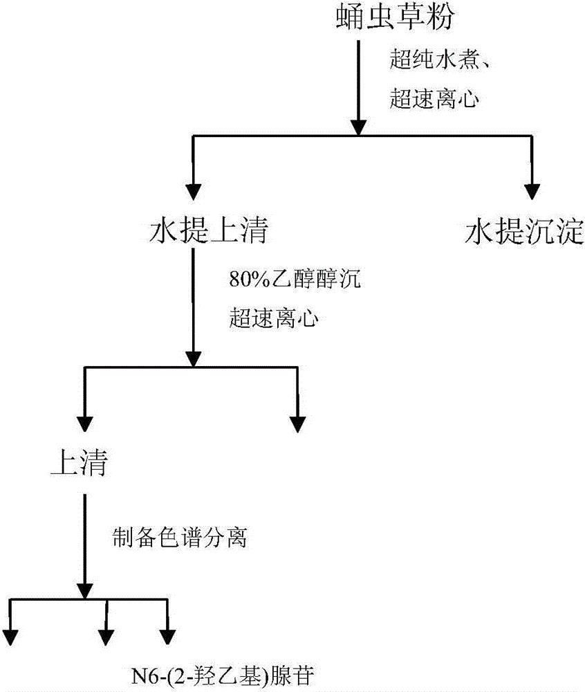 The method and application of extracting n6-(2-hydroxyethyl)adenosine from Cordyceps militaris