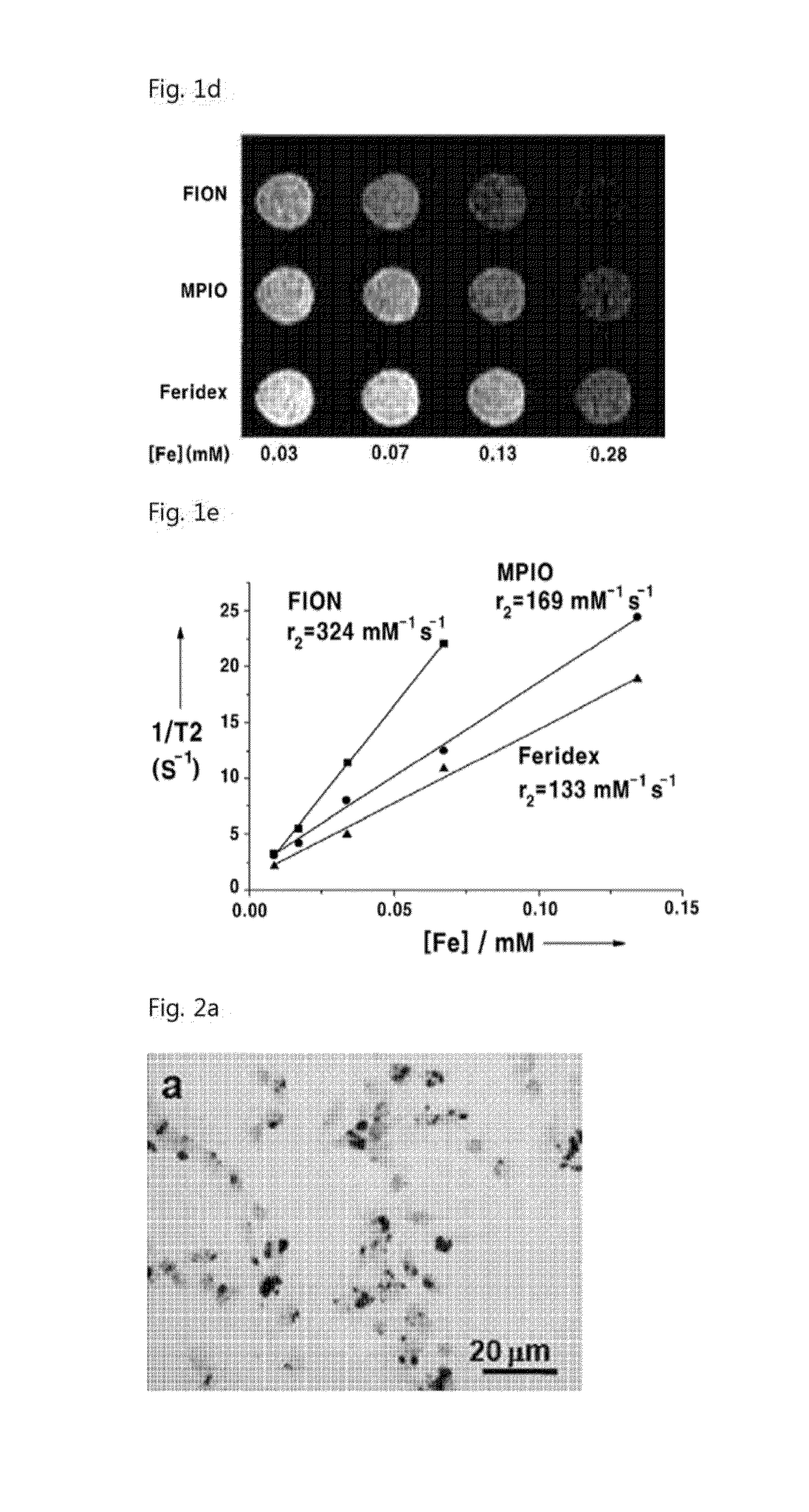 Magnetic resonance imaging t2 contrast medium for cell contrasting, and method for manufacturing same