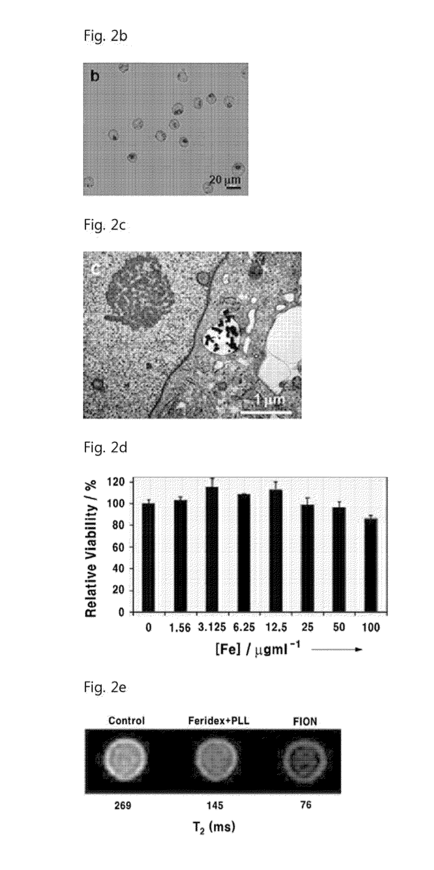 Magnetic resonance imaging t2 contrast medium for cell contrasting, and method for manufacturing same