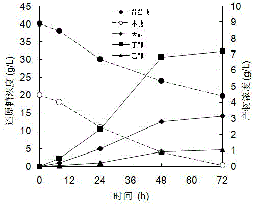 Bacterial strain for producing alcohol fuels by synchronously utilizing glucose and xylose and application of bacterial strain