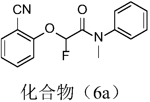 Tetraniliprole compound with antibacterial activity as well as preparation method and application thereof