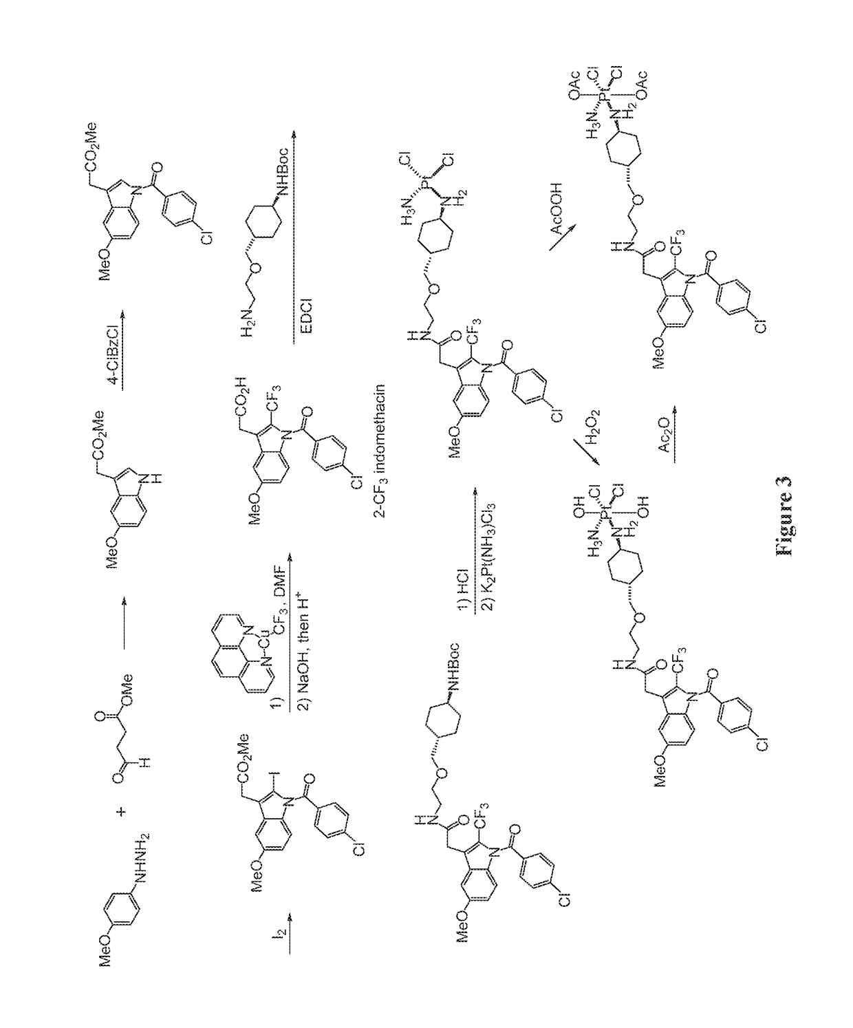 COX-2-targeting, platinum-containing conjugates and their use in the treatment of tumors and cancers