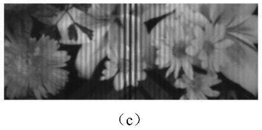 Dual-channel high-throughput interference imaging spectroscopy device and method