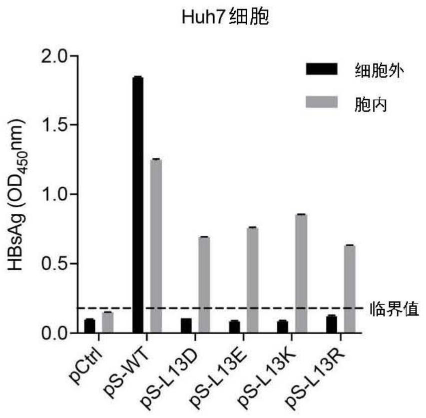 Hepatitis B virus surface protein mutant and application thereof in resisting hepatitis B virus