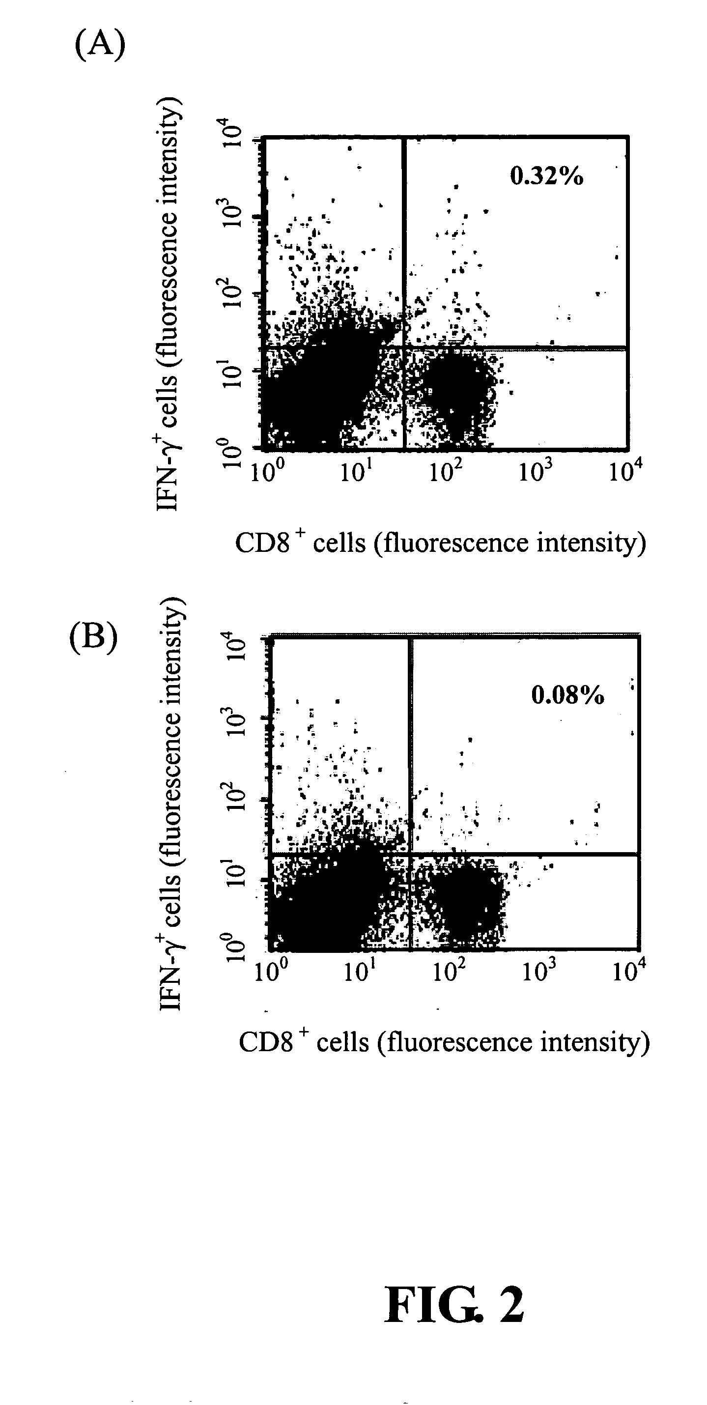 Peptide antigen of human papillomavirus type 16 and application thereof