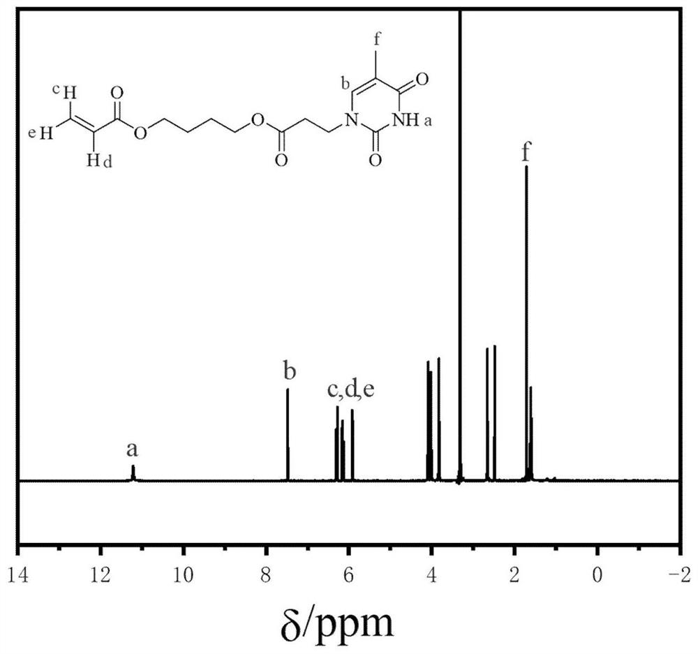 Epoxidized camellia oil monomer, monomer-based polymer, pressure-sensitive adhesive, and preparation method thereof