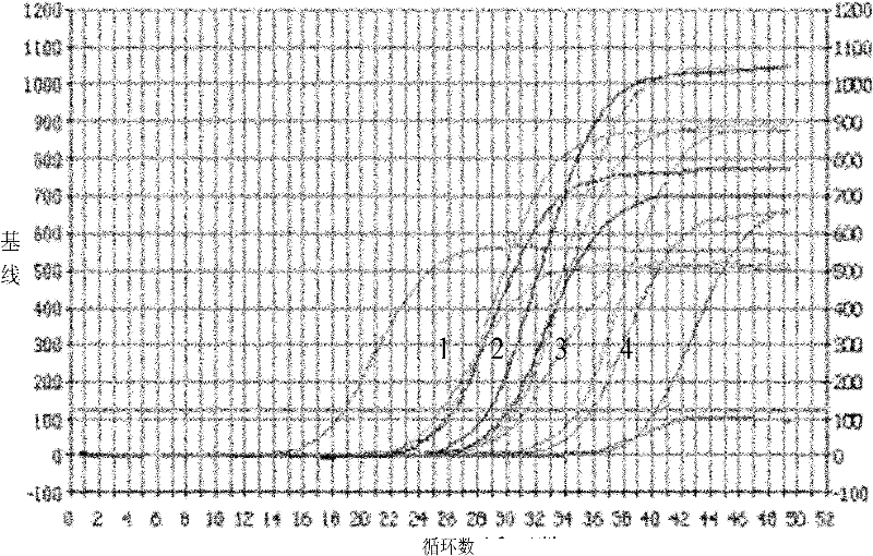 Fluorescence quantitative polymerase chain reaction (PCR) detection method and detection kit for phytophthora capsici leonian