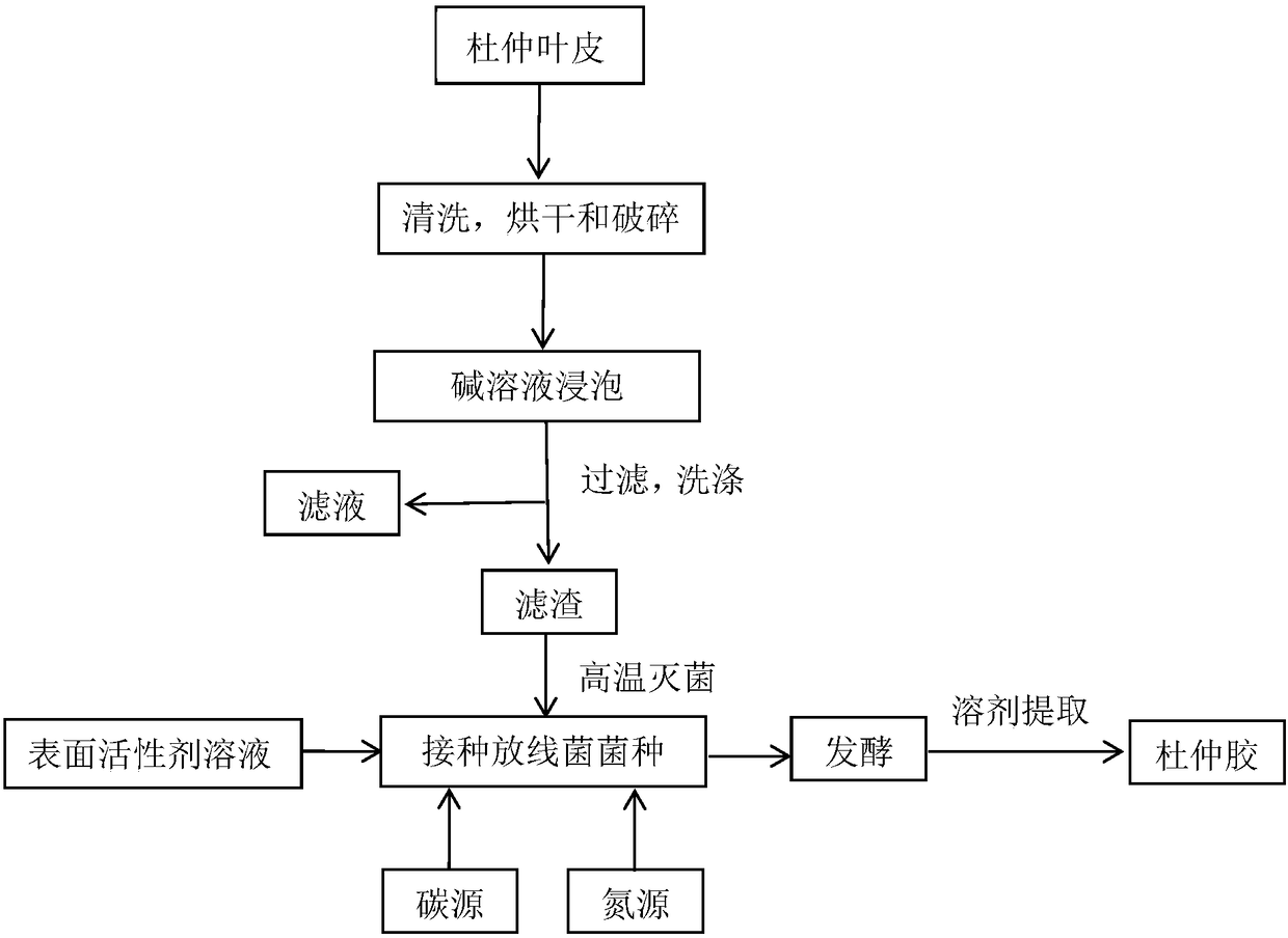 A method for extracting eucommia gum from eucommia leaf bark