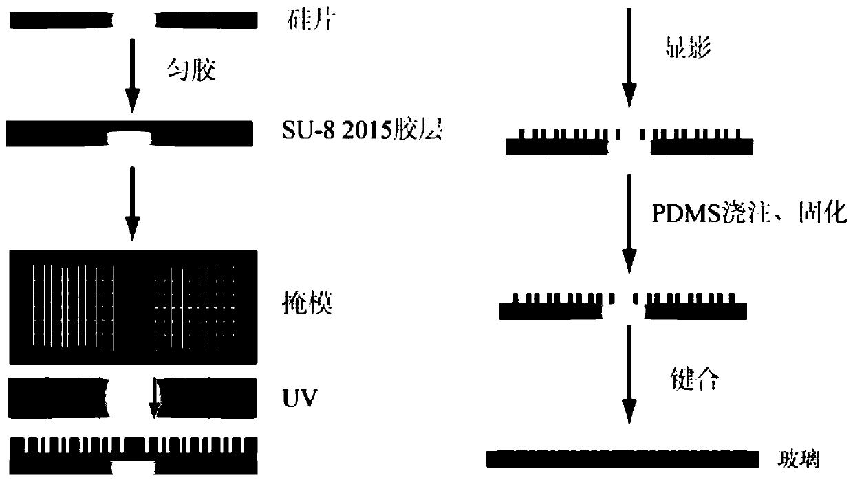 Microfluidic chip and design method and application thereof