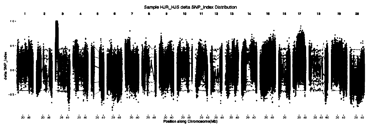 Molecular marker caps1516 tightly linked to soybean blight resistance gene and its application