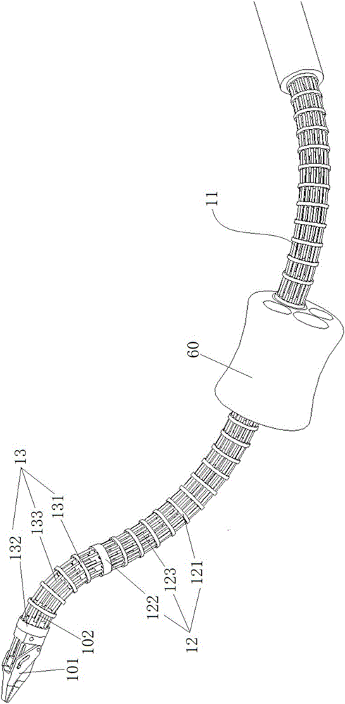Flexible surgical tool system adopting constrained structure bone
