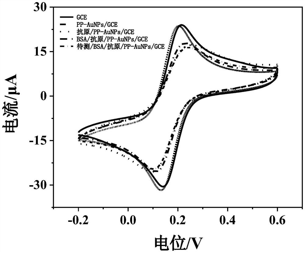 Polypeptide-nanogold modified glassy carbon electrode and application thereof