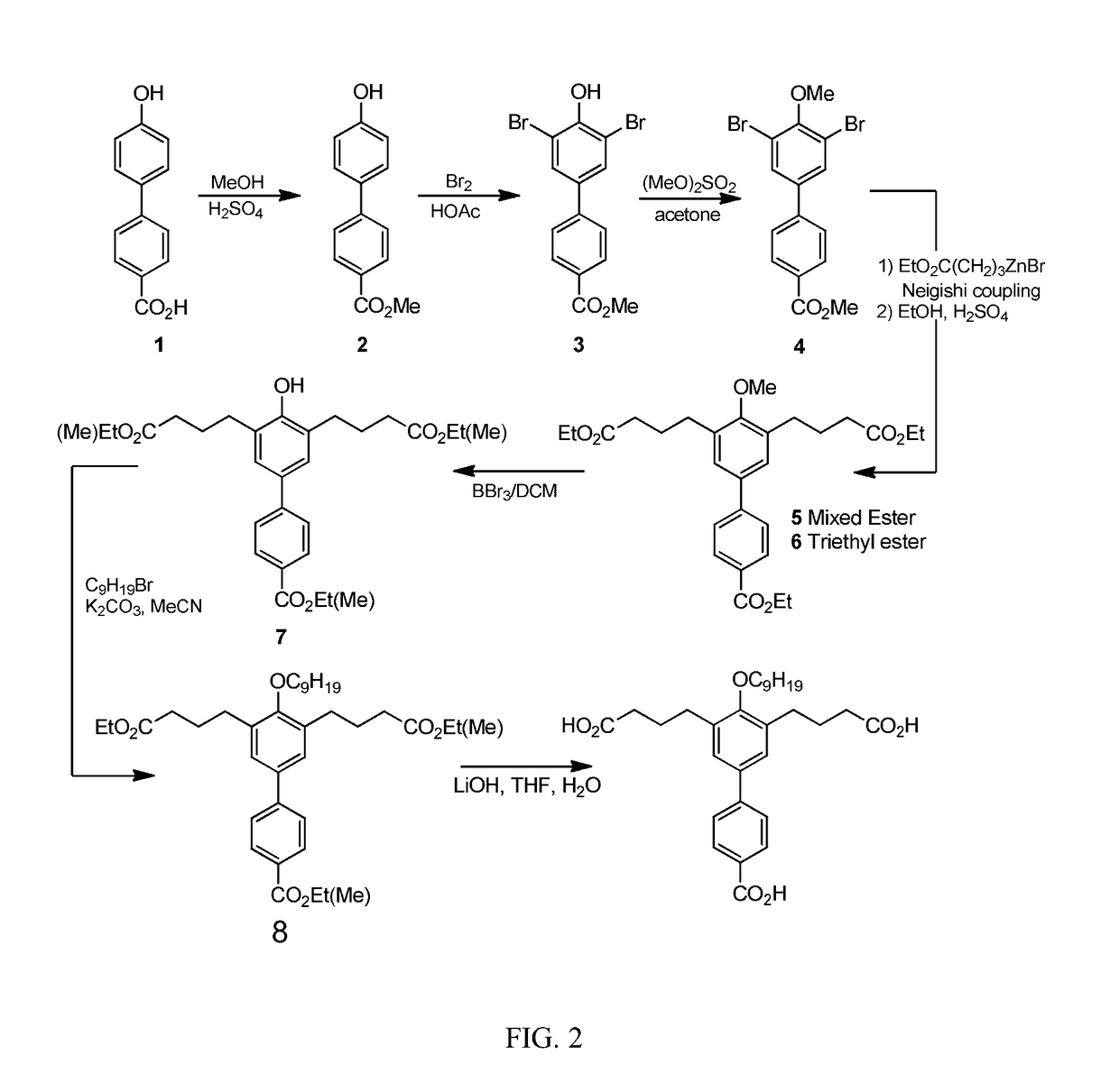 Chemical Compound for Inhibition of SHP2 Function and for Use as an Anti-Cancer Agent