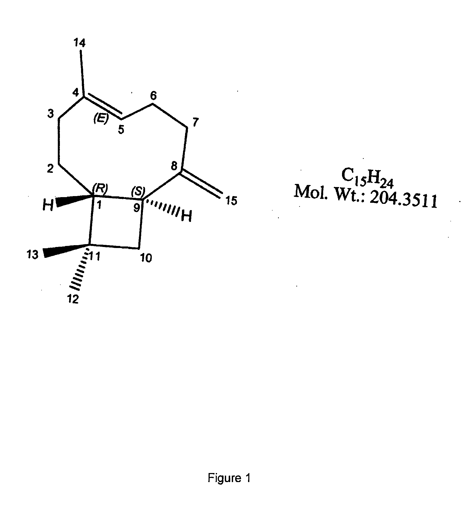 Compositions for prevention or treatment of anorexia-cachexia syndrome and uses thereof