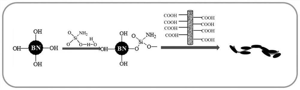 Preparation method of boron nitride/carbon nanotube/polyimide composite material