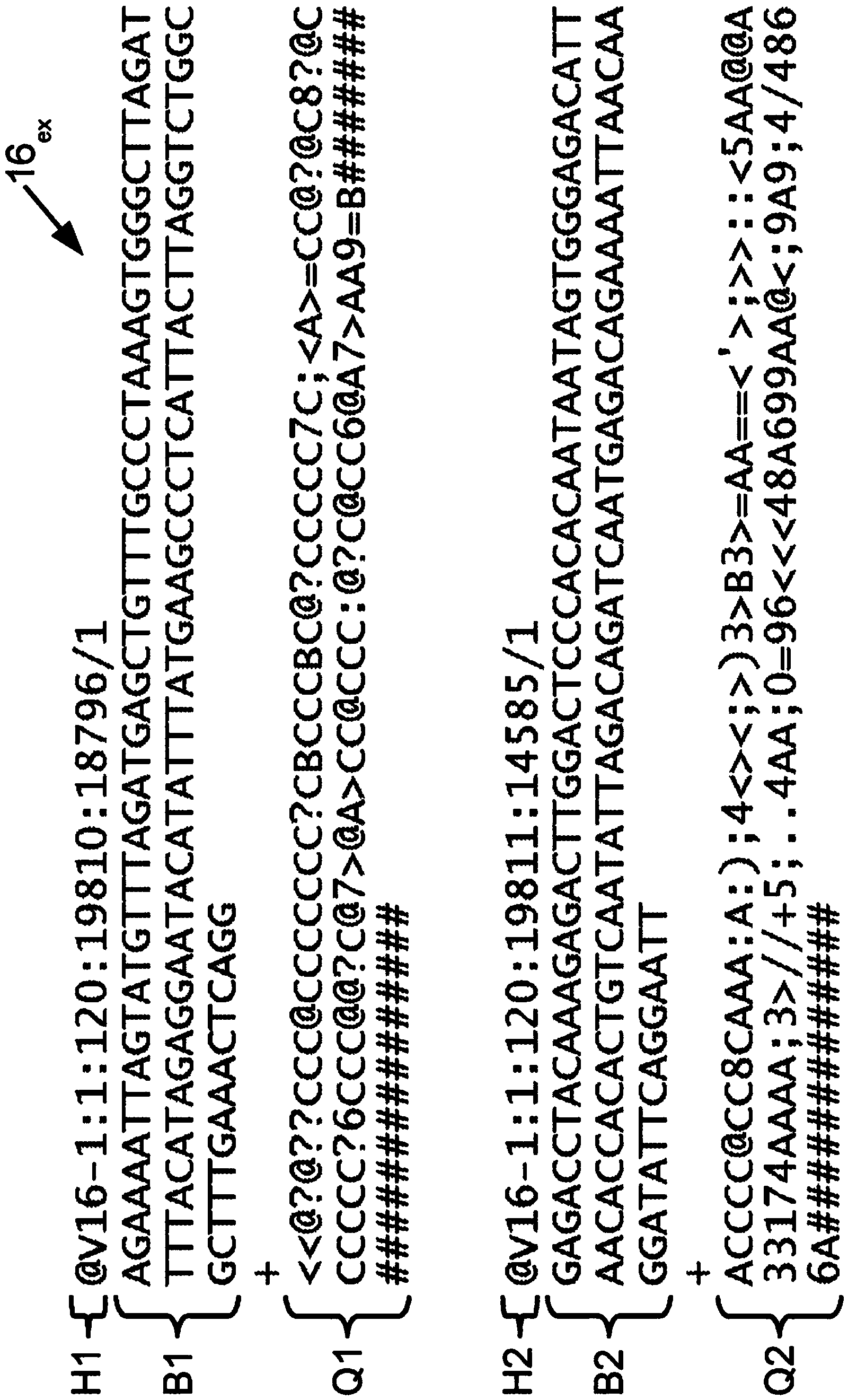 Compact next generation sequencing database and efficient sequence processing using same