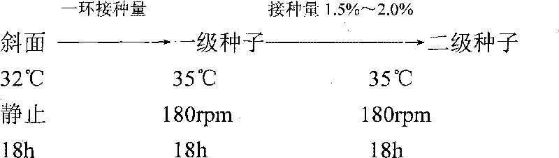 Active natto hot and spicy sauce and processing method thereof
