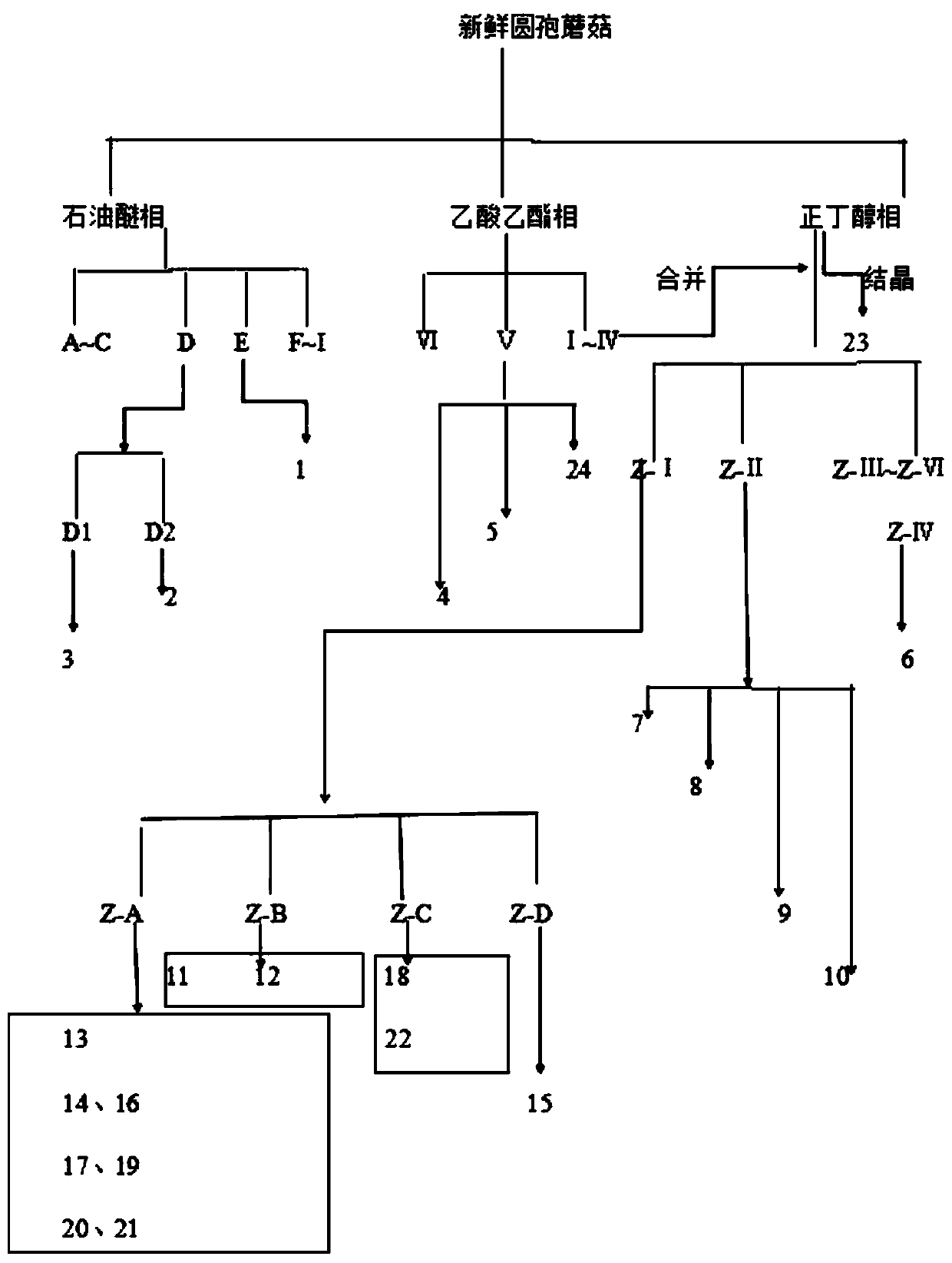 Application of peroxyergoterol in agaricus gennadii in CDC25 phosphoprotease