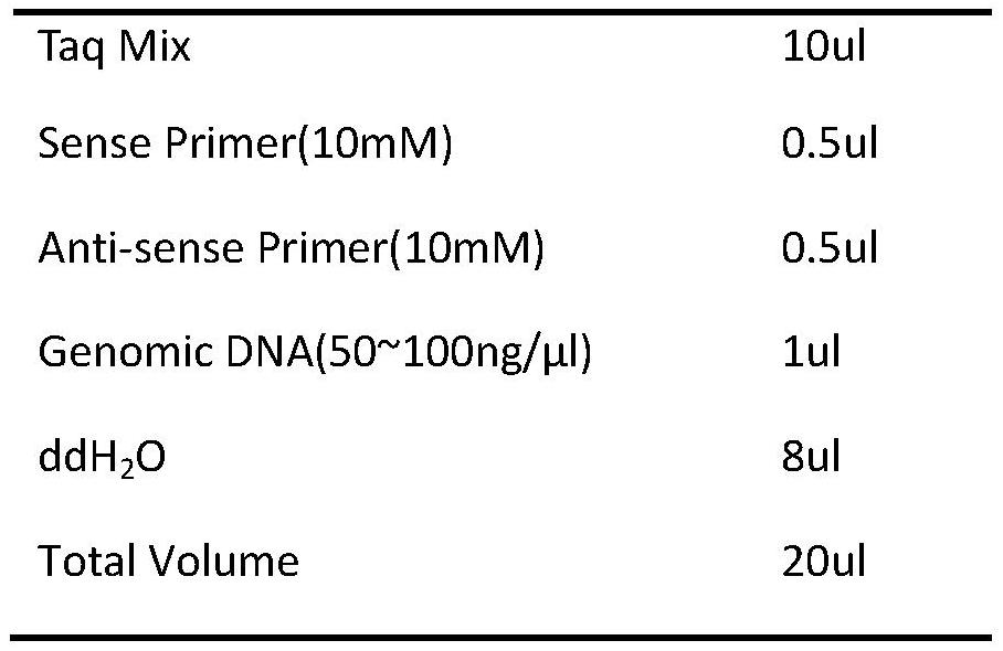 A molecular marker related to pig inguinal scrotal hernia and its application