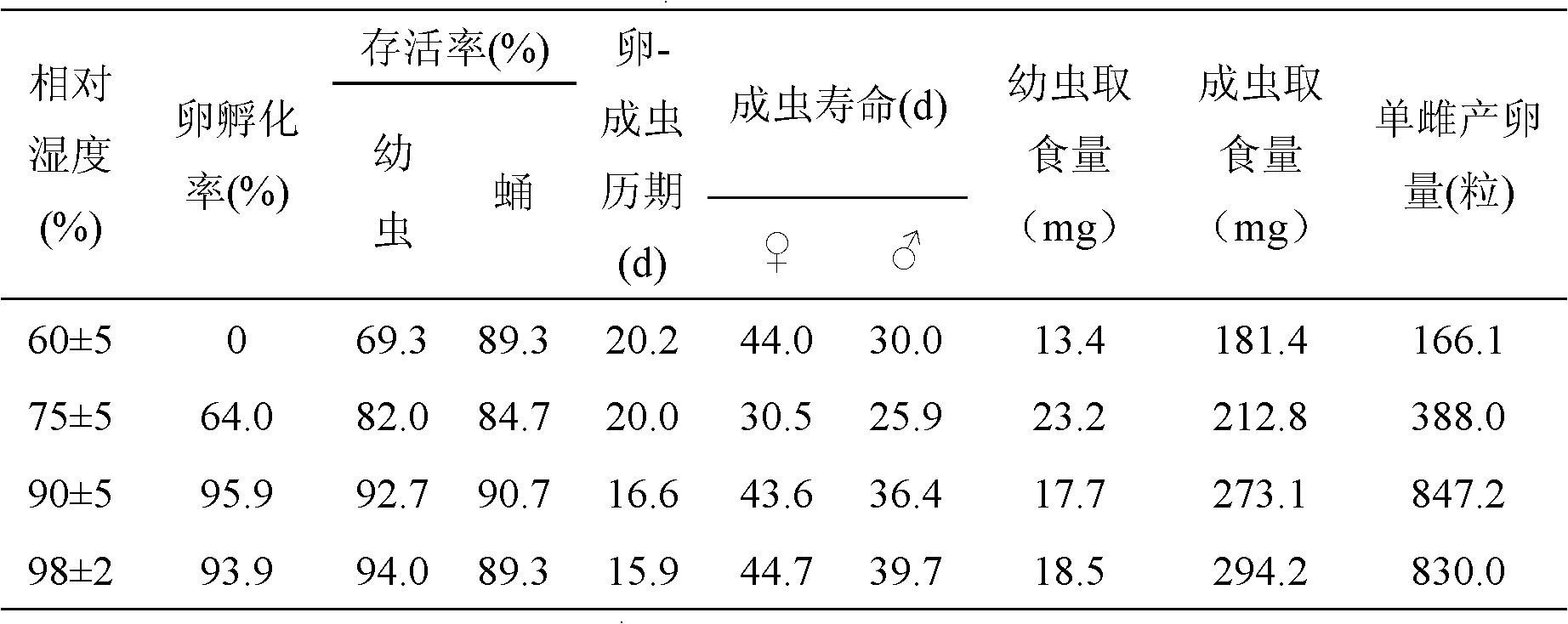 Artificial mass raising method for agasicles hygrophila