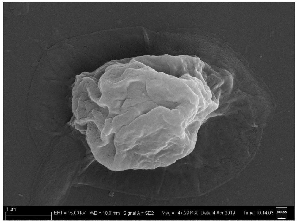 A method for efficient hydrogen production based on biomineralization of chlorella cells