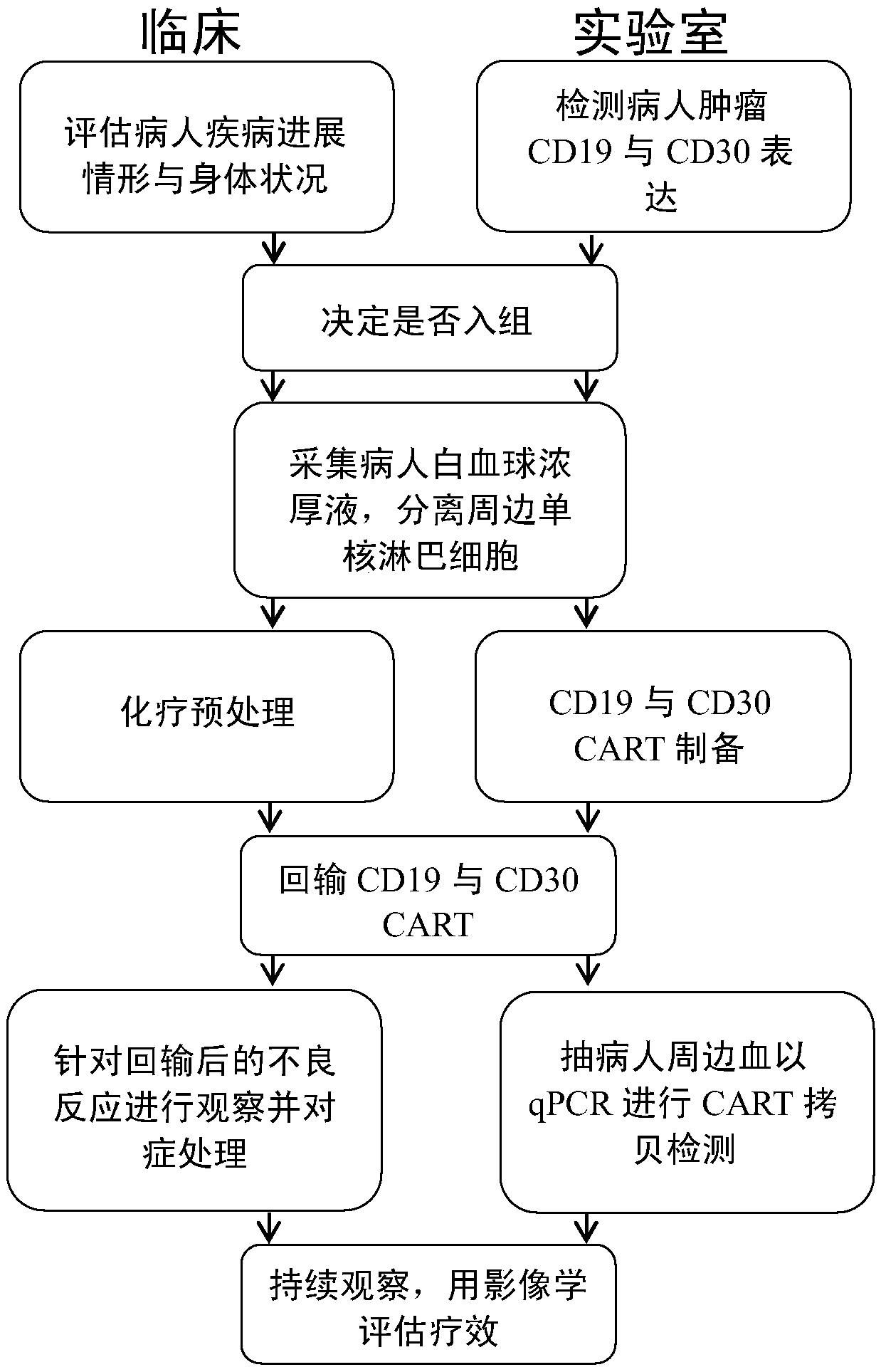 CD19 and CD30-based dual chimeric antigen receptor gene modified immune cell and application thereof