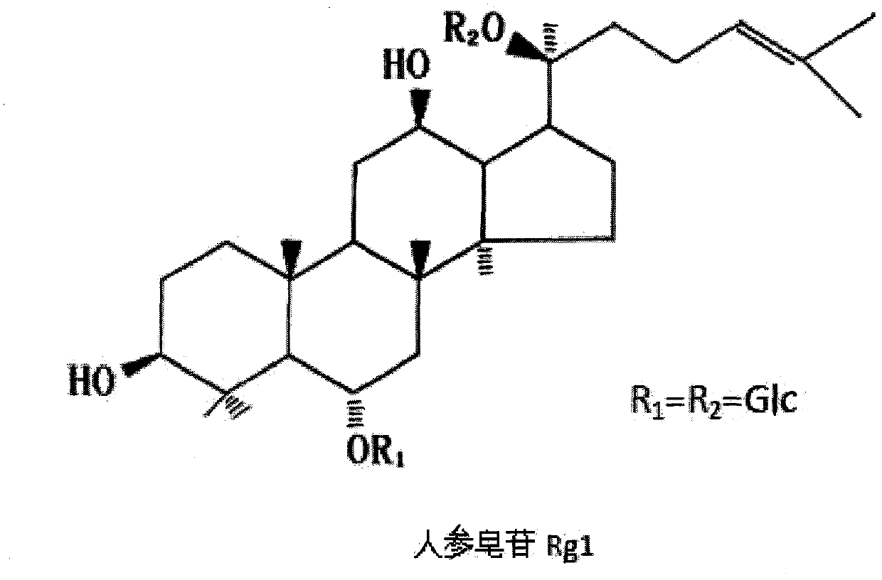 Ginsenoside Rg1 molecular imprinting material and preparation method and application thereof