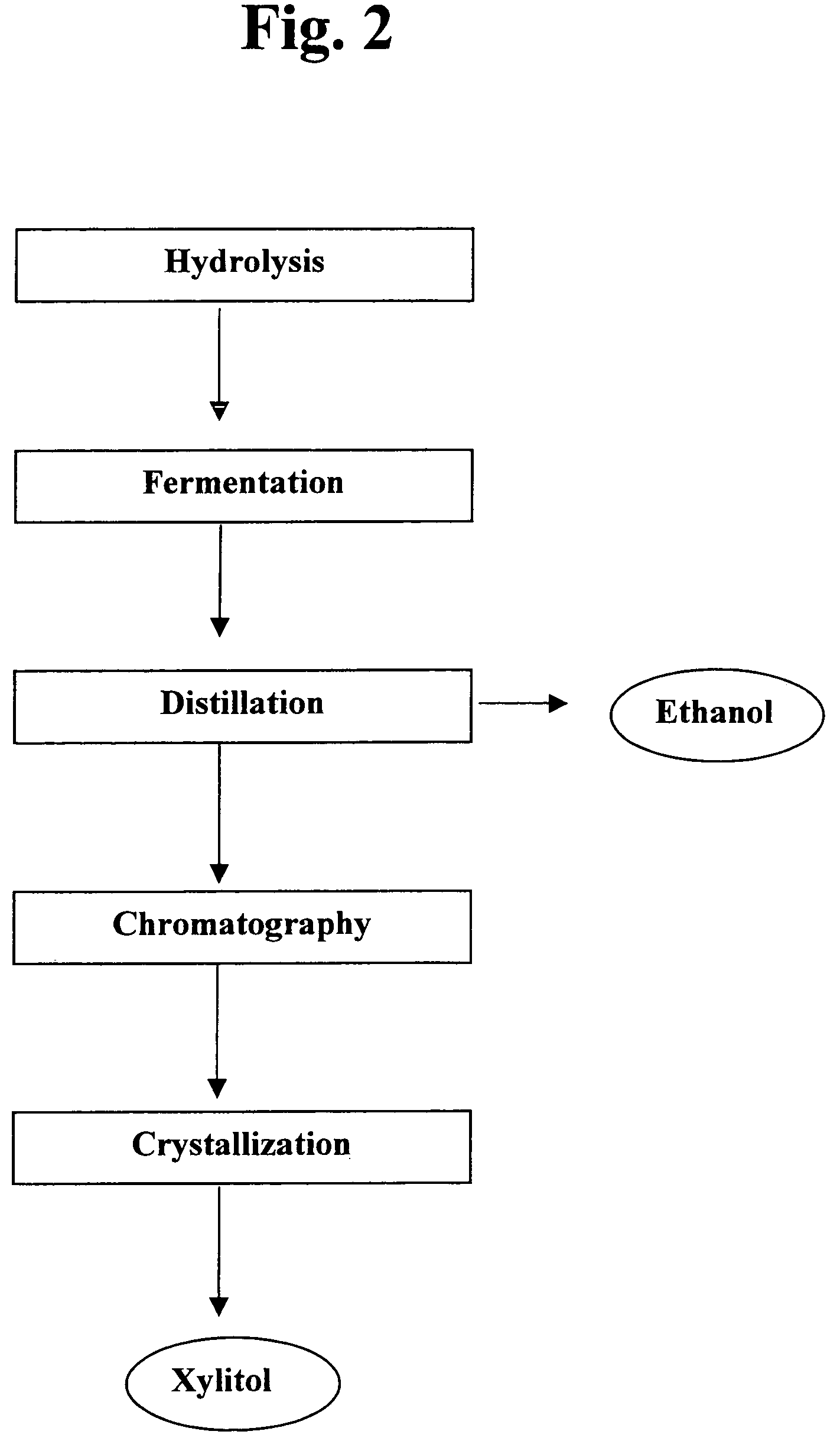 Process for the simultaneous production of xylitol and ethanol
