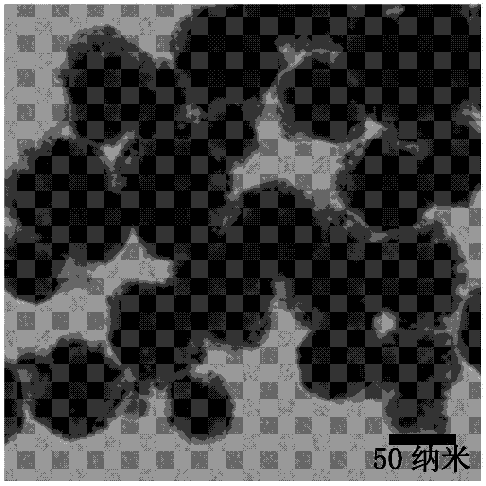 High stability nanogold catalyst and preparation method thereof