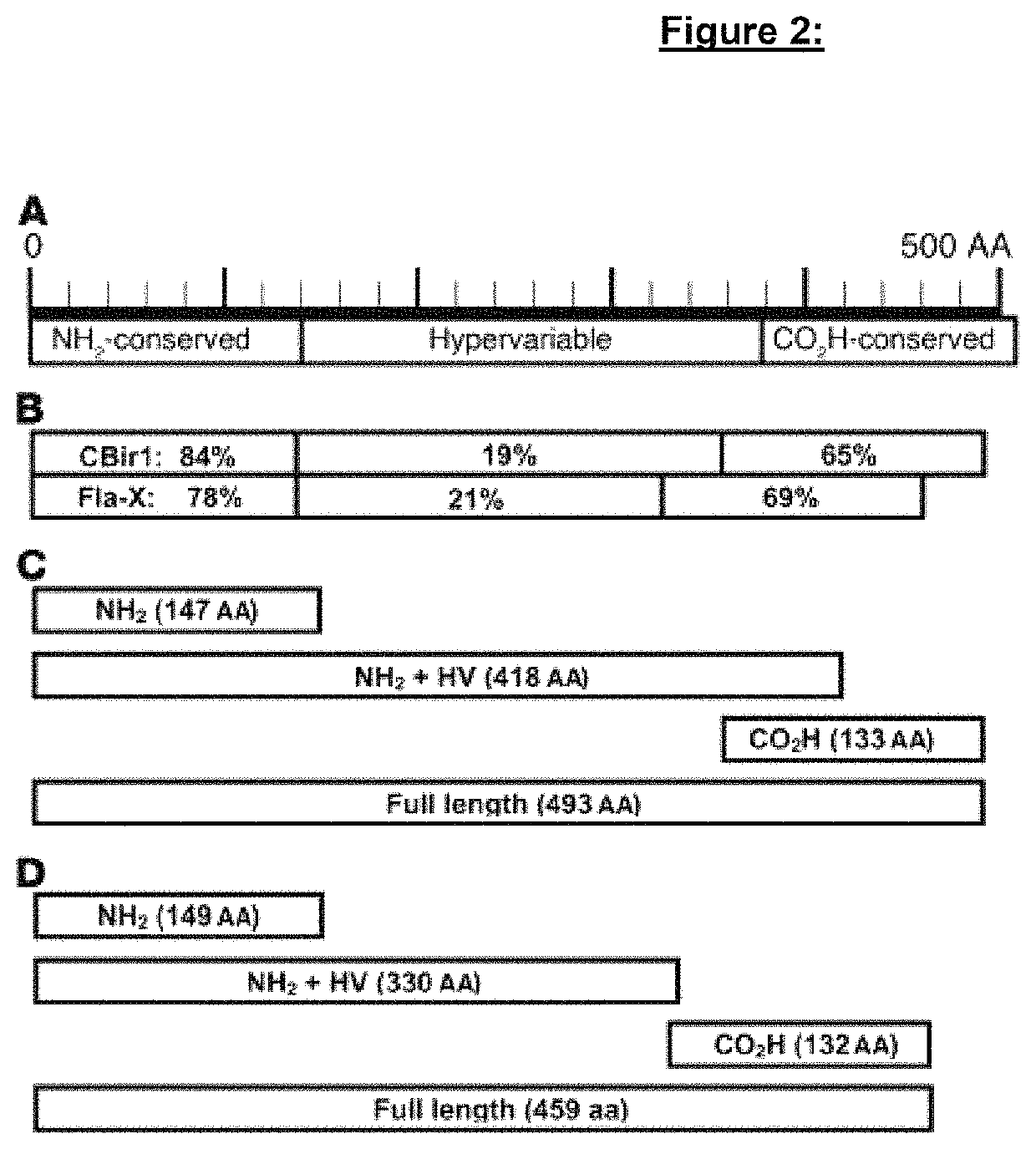 Methods of using genetic variants for the diagnosis and treatment of inflammatory bowel disease