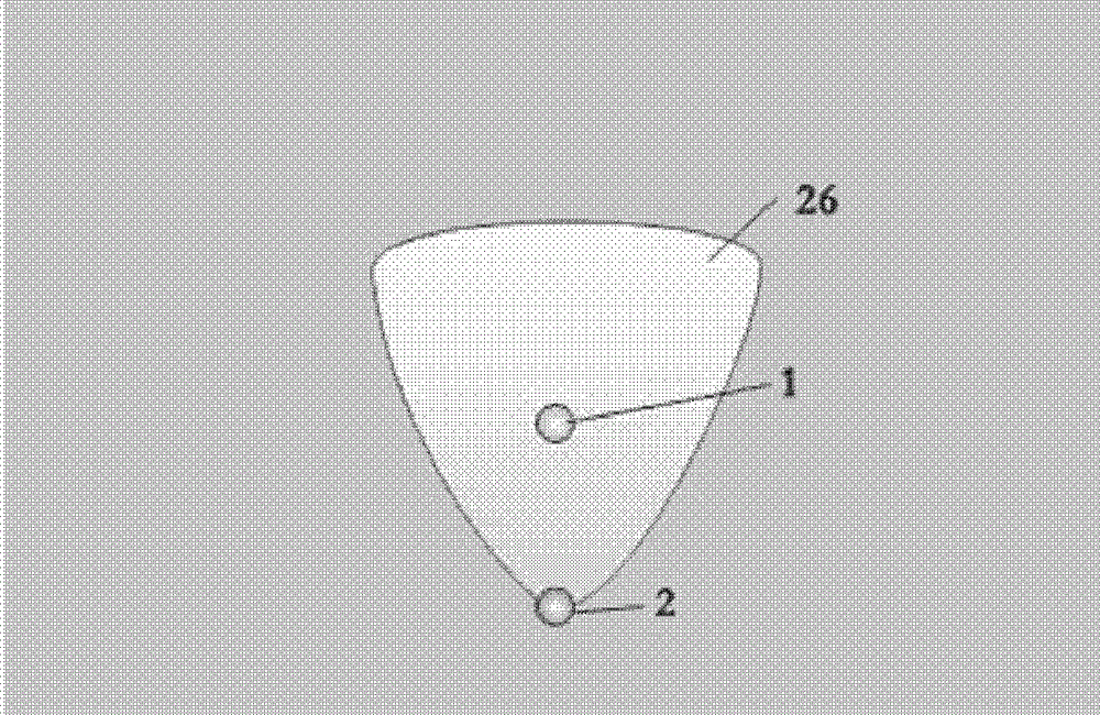 Propane-injecting shallow heavy oil reservoir exploitation method