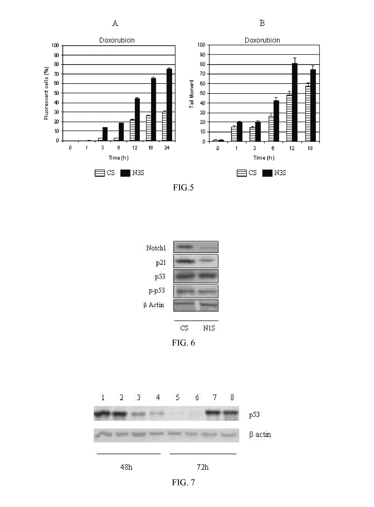 Pharmaceutical composition and pharmaceutical kit for the treatment of hepatocellular carcinoma