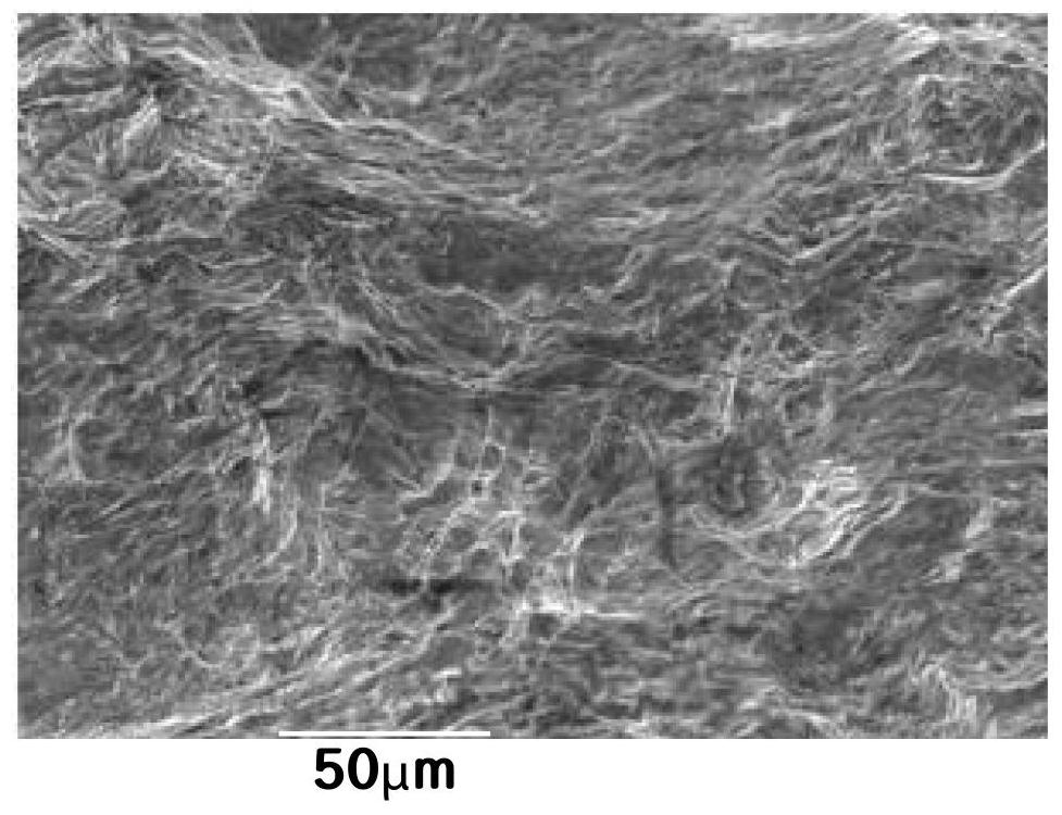 Electrical steel sheet and manufacturing method therefor