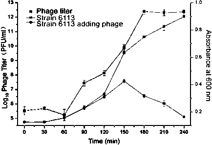 Bacillus cereus phage and application thereof