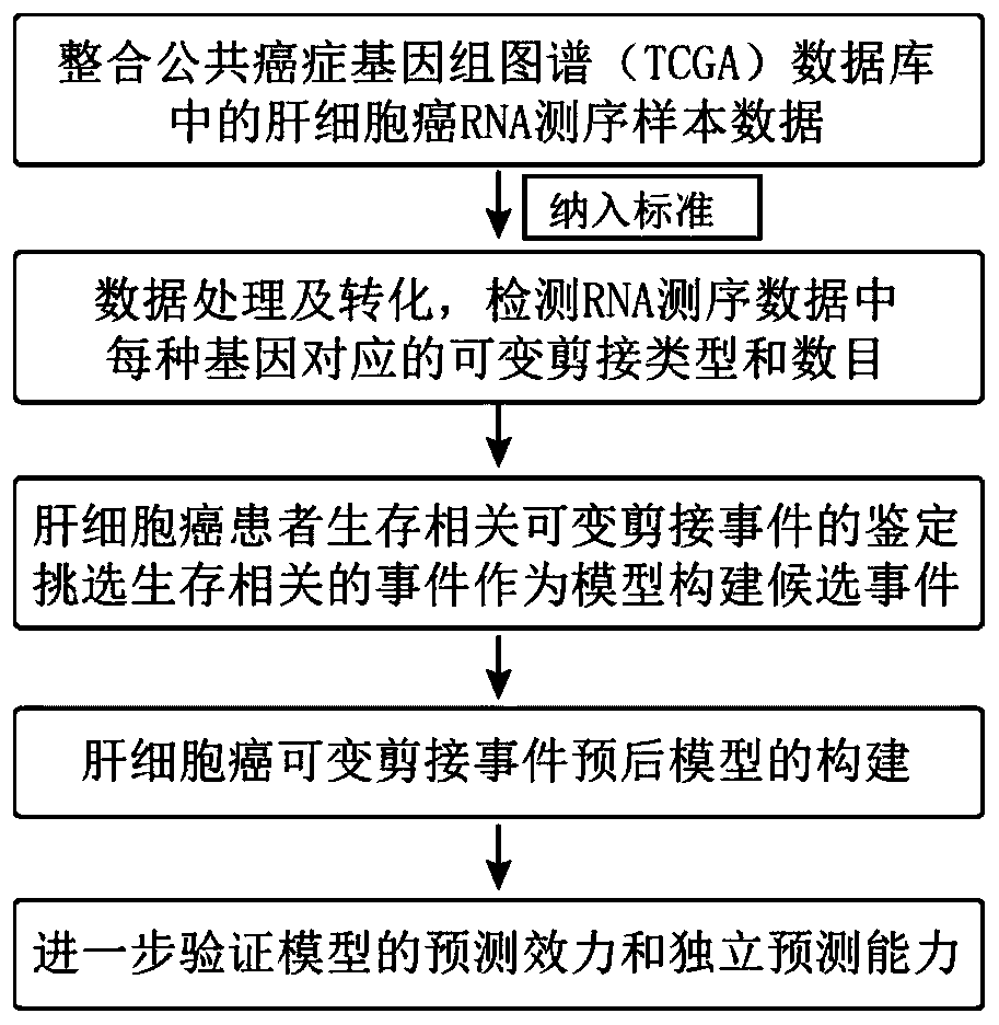 Hepatocellular carcinoma alternative splicing event prognosis model and construction method and application thereof