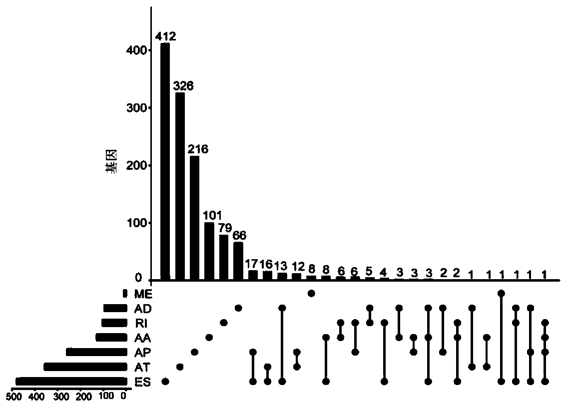 Hepatocellular carcinoma alternative splicing event prognosis model and construction method and application thereof