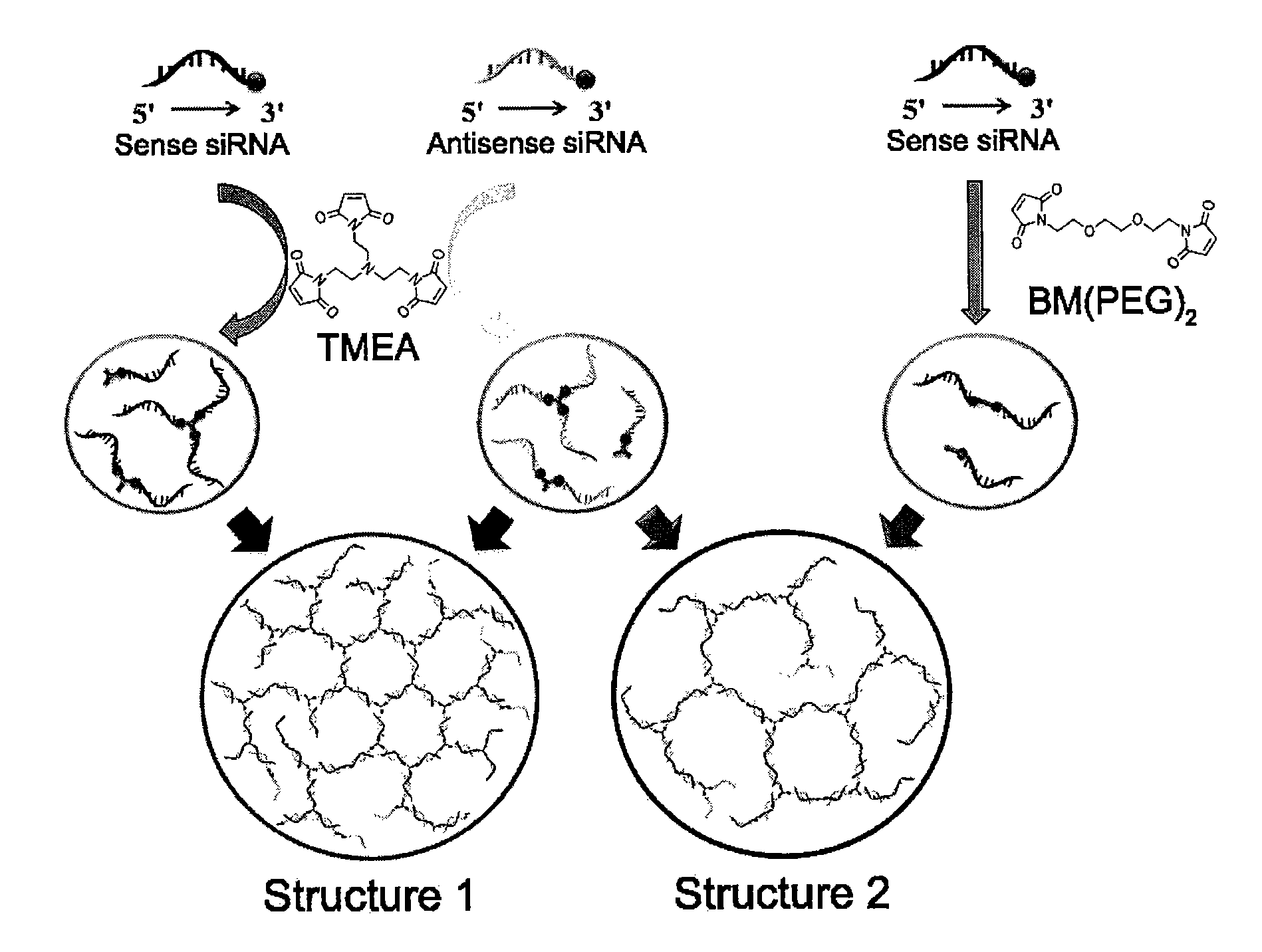 siRNA hydrogel and method for manufacturing the same