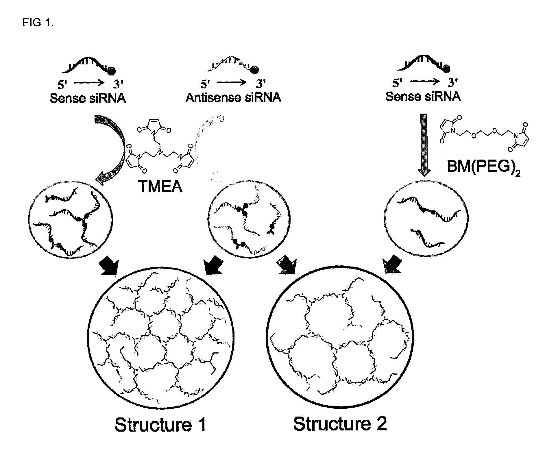 siRNA hydrogel and method for manufacturing the same