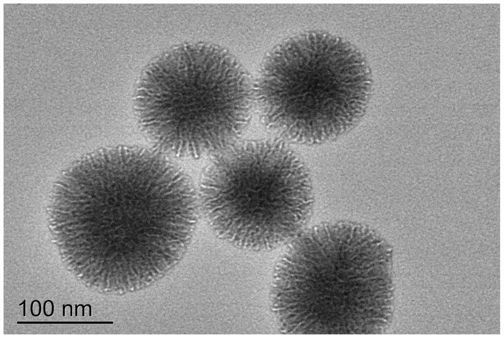 A kind of micronano bioactive glass microsphere with high calcium phosphorus content and preparation method thereof