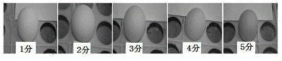 Feed and feed premix used for relieving vanadium poisoning of laying hens, and preparation method of feed