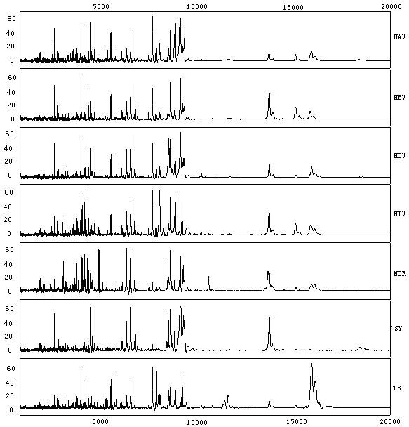 Protein marker for simultaneously detecting specificity of multiple diseases in blood serum and kit thereof