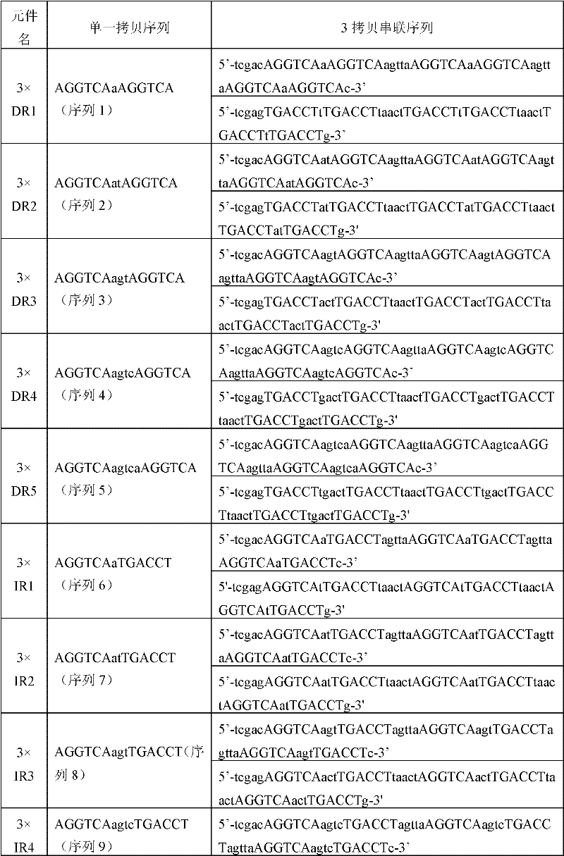 Method for gathering and separating endogenous nuclear receptors and deoxyribonucleic acid (DNA) binding sequence special for same