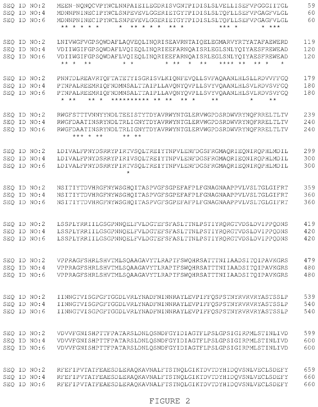 Pesticidal toxin proteins active against lepidopteran insects